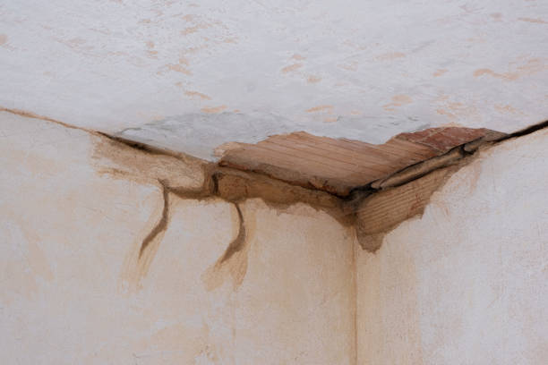 Best 24/7 water damage repair  in Midland City, AL