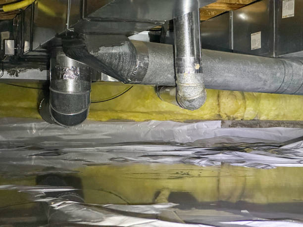 Best Basement water damage restoration  in Midland City, AL