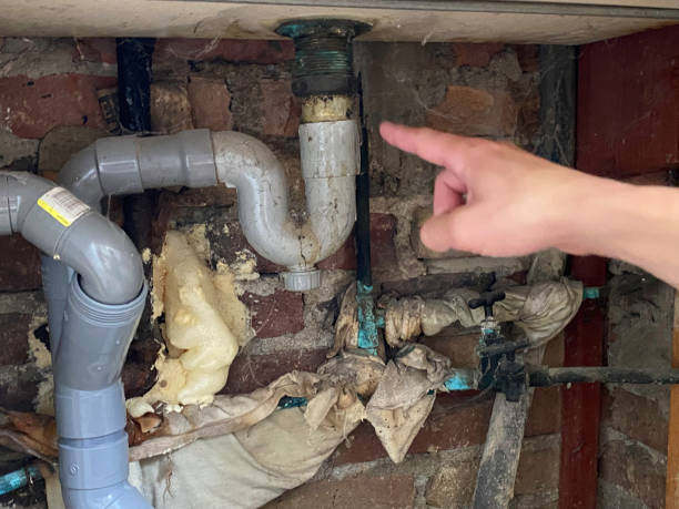 Best 24-hour water damage restoration  in Midland City, AL