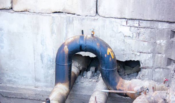  Midland City, AL Water damage restoration Pros