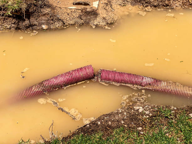 Best Professional water damage repair  in Midland City, AL