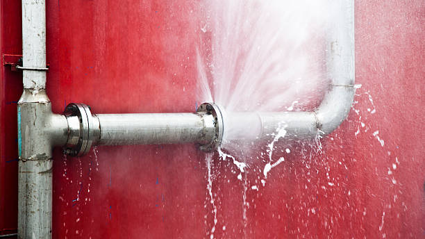 Best Water damage restoration mold remediation  in Midland City, AL